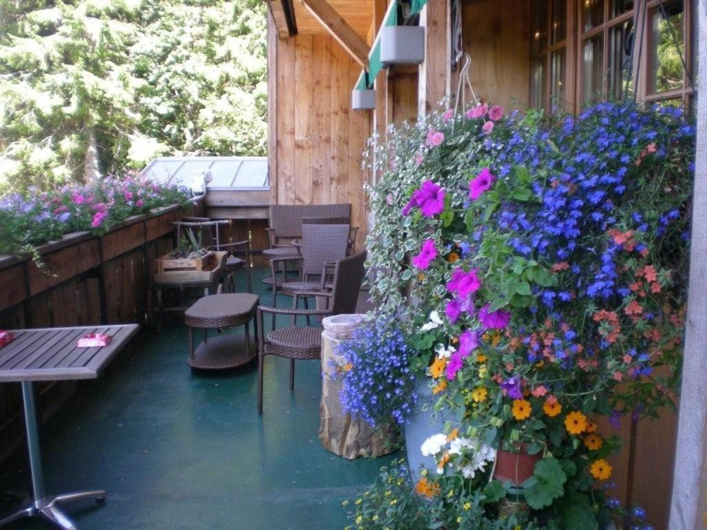 Chalet Hotel Le Collet Xonrupt-Longemer Exterior photo